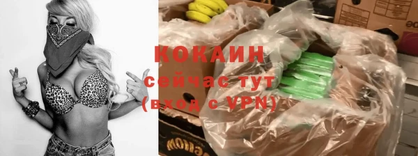 стафф Тутаев