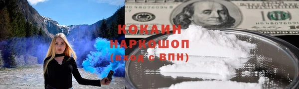 стаф Тында