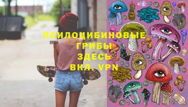 прущая мука Туринск