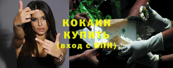 стафф Тутаев