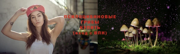 стафф Тутаев