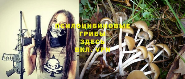 стаф Тында