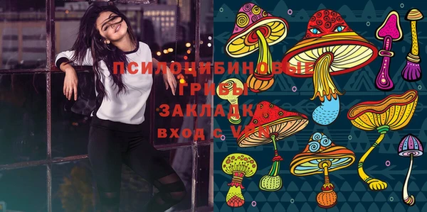 стаф Тында