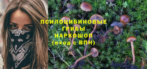 стафф Тутаев