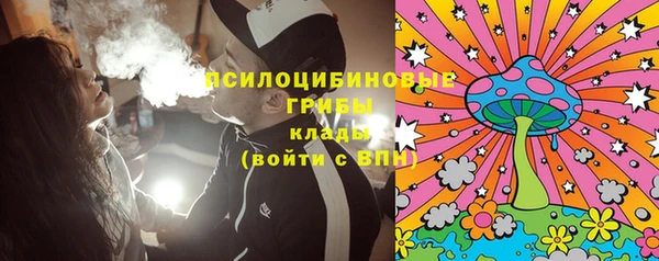 стафф Тутаев