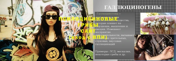 стаф Тында