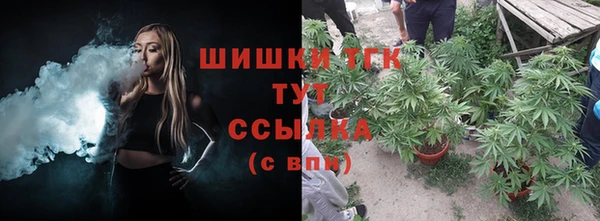 стафф Тутаев