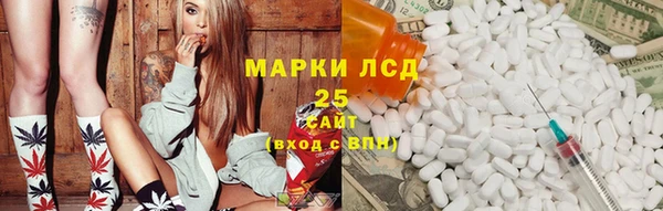 стаф Тында