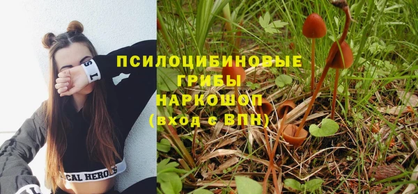 прущая мука Туринск