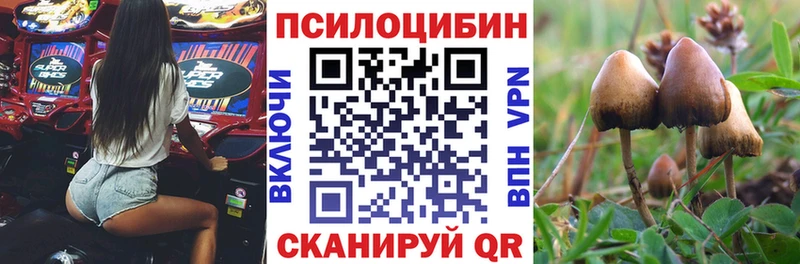 Псилоцибиновые грибы прущие грибы  Купить закладки  Агрыз 